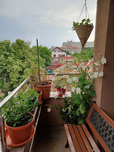 Casa Presei - Herastrau Apartament 3 camere